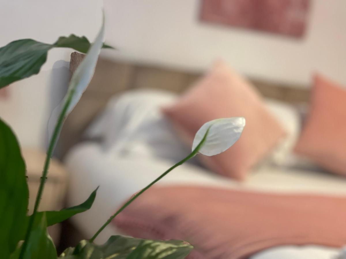Penderi House Usk With Cymru Holidays المظهر الخارجي الصورة